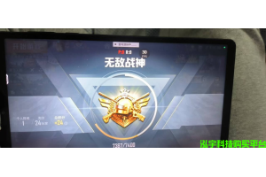 和平精英高端锦鲤内核_超强稳定性软件